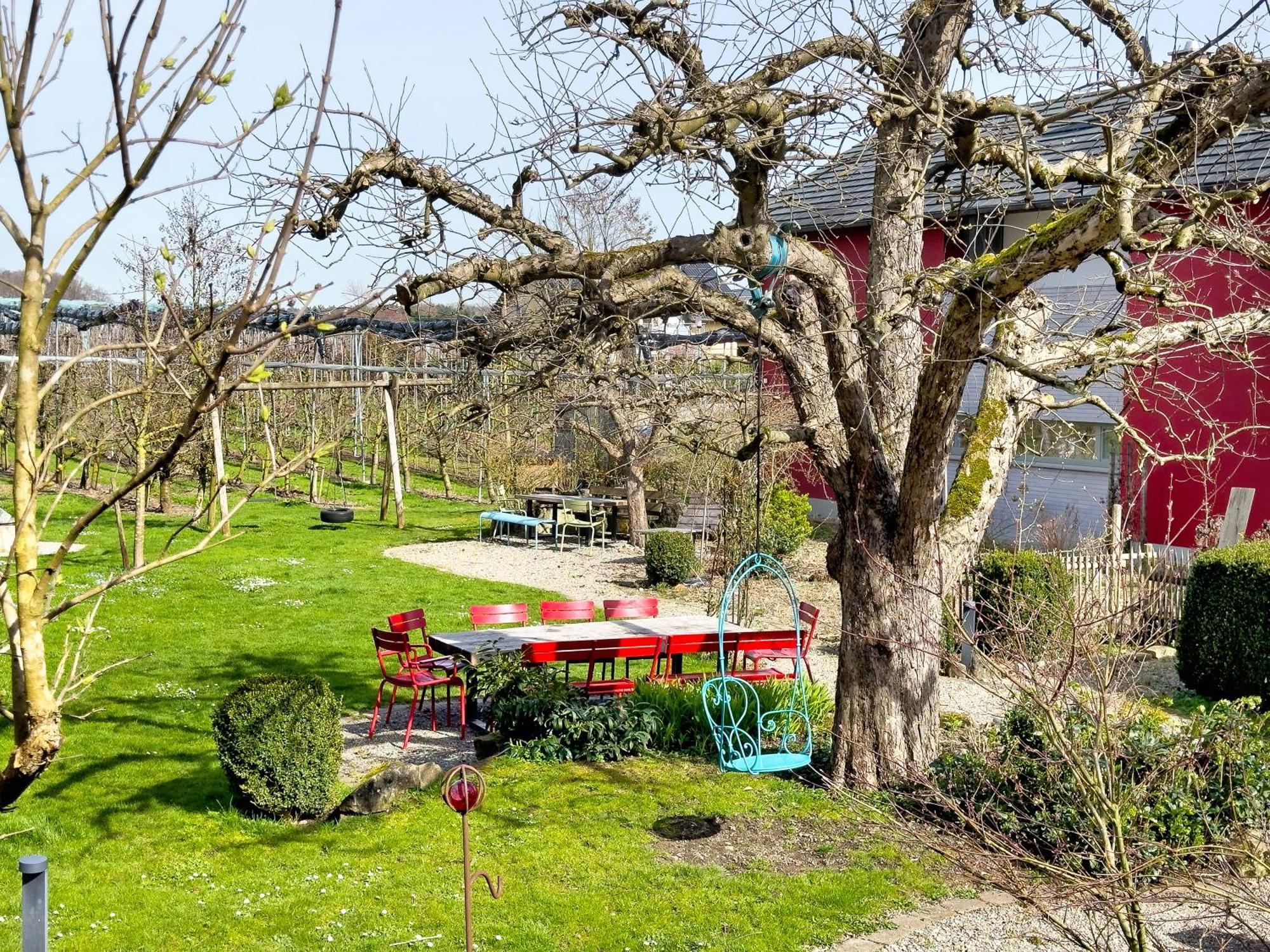 Obst- Ferienhof Ragg Имменштад-ам-Бодензее Экстерьер фото