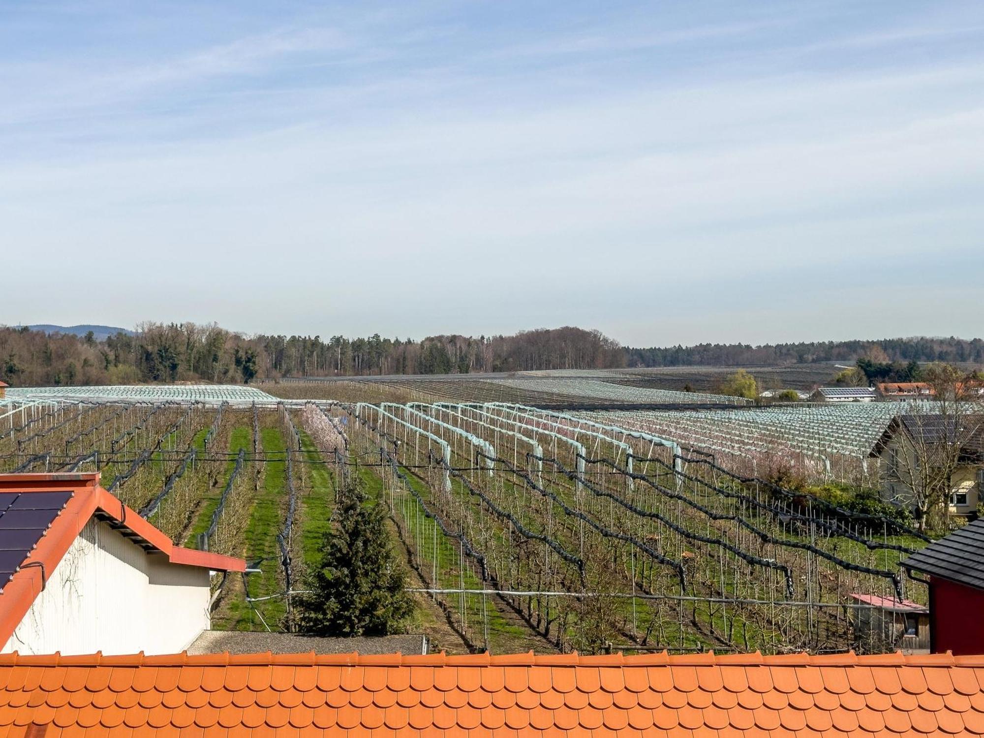 Obst- Ferienhof Ragg Имменштад-ам-Бодензее Экстерьер фото